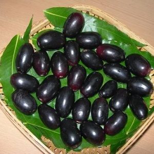 Java Plum / BlackBerry India (Jamun) 500gm (Available in June -August)