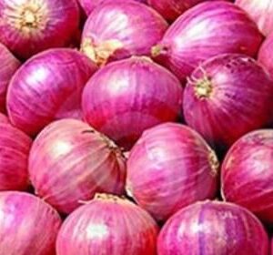 Onion India 1kg