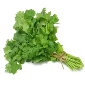 Coriander Leaves (1Bunch)