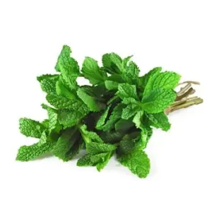 Mint Leaves (1Bunch)
