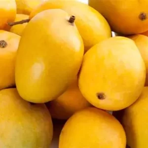 Alphonso Mangoes (Available only in February-May)