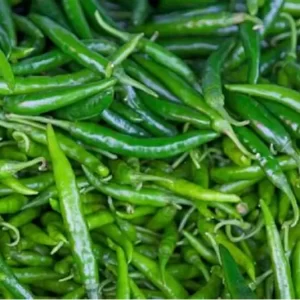 Green Chilli India 250Grams