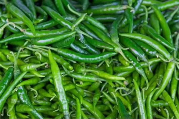 Green Chilli India 250Grams