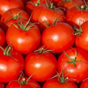 Tomato 1kg