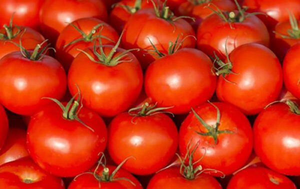 Tomato 1kg