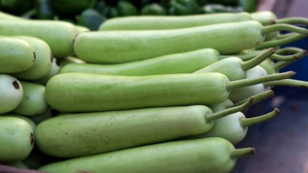 Bottle Gourd 1kg
