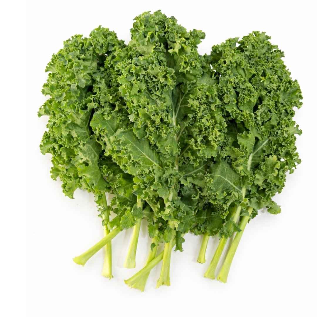Curly Kale (eco-pack) - 125gms
