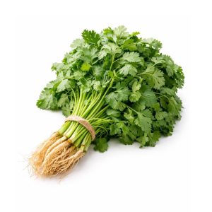Coriander (Dhaniya) Bunch – UAE Farm Fresh