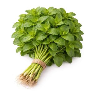 Mint Leaves (Pudina) – UAE Farm Fresh